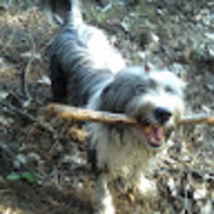 Meet your Posher, Joseph